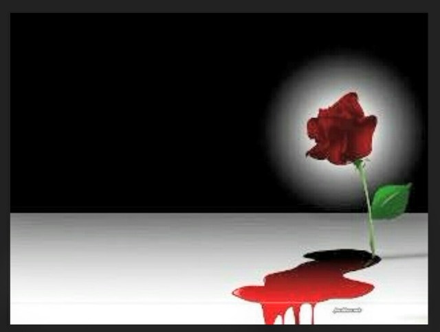 Screenshot_2016-03-08-18-13-05~3.png image